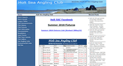 Desktop Screenshot of holtsac.com