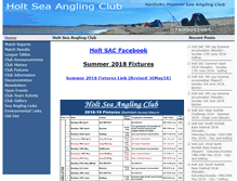 Tablet Screenshot of holtsac.com